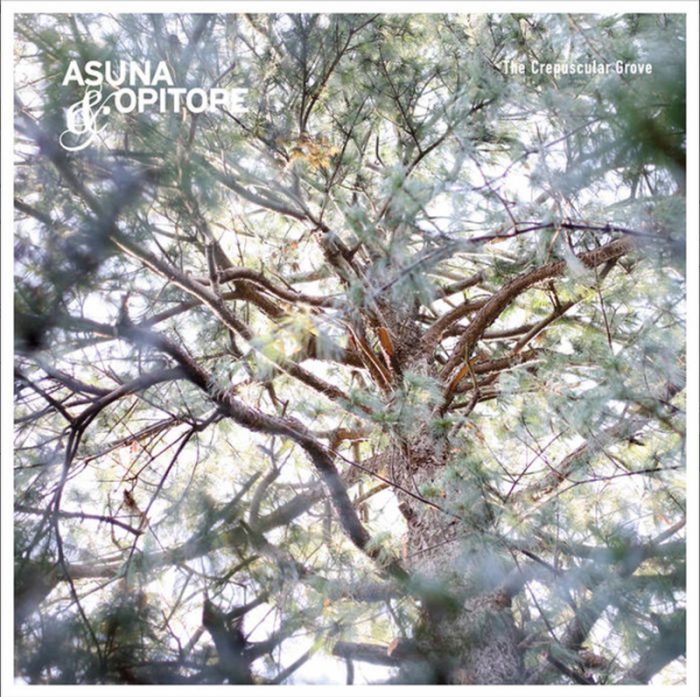 The Crepuscular Grove　Asuna+
